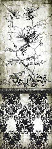 Rose Vintage II A Black Ornate Wood Framed Art Print with Double Matting by Willow, Susan P.