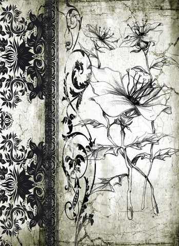 Rose Vintage I B Black Ornate Wood Framed Art Print with Double Matting by Willow, Susan P.