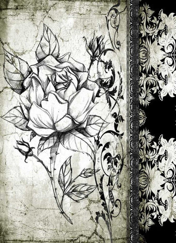 Rose Vintage I A White Modern Wood Framed Art Print with Double Matting by Willow, Susan P.