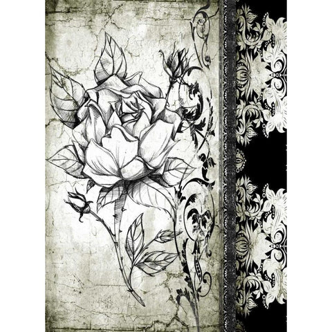 Rose Vintage I A Black Modern Wood Framed Art Print with Double Matting by Willow, Susan P.