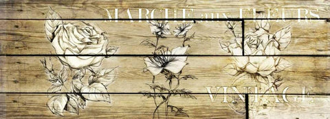 Wood Vintage White Modern Wood Framed Art Print with Double Matting by Willow, Susan P.