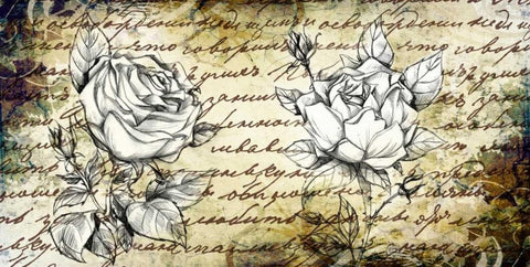 Retro Roses II Black Ornate Wood Framed Art Print with Double Matting by Willow, Susan P.