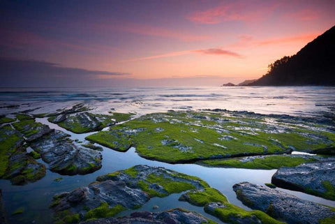 Sweet sunrise White Modern Wood Framed Art Print with Double Matting by Vera, Urtzi