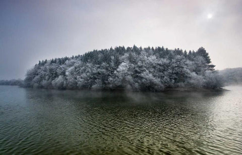 Winter in the swamp Black Ornate Wood Framed Art Print with Double Matting by Vera, Urtzi