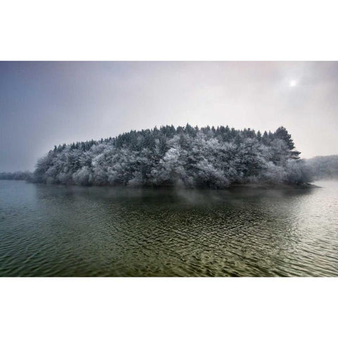 Winter in the swamp Black Modern Wood Framed Art Print by Vera, Urtzi