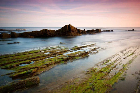 The crown Black Ornate Wood Framed Art Print with Double Matting by Vera, Urtzi