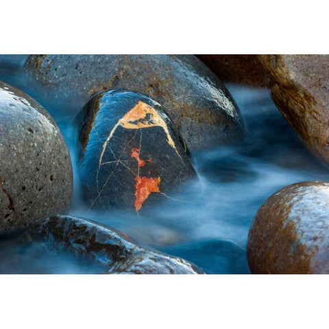 The jewel White Modern Wood Framed Art Print by Vera, Urtzi