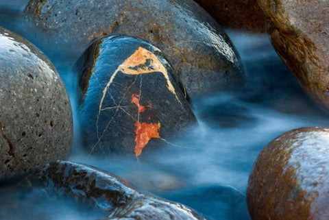 The jewel White Modern Wood Framed Art Print with Double Matting by Vera, Urtzi