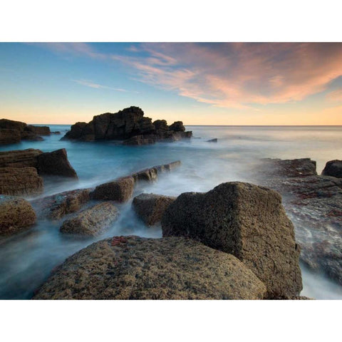 The patxa Gold Ornate Wood Framed Art Print with Double Matting by Vera, Urtzi