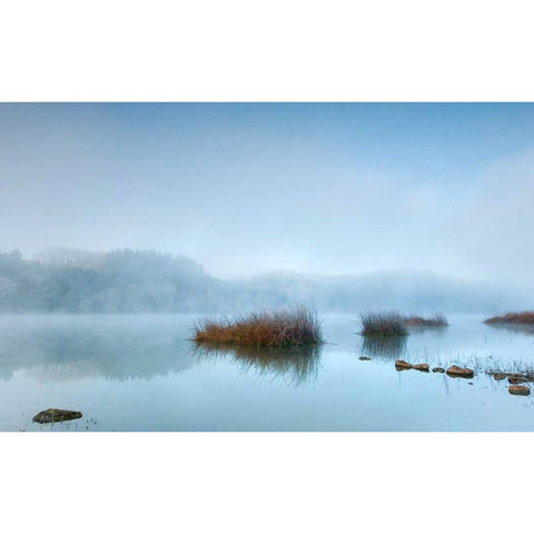 Blue dreams Black Modern Wood Framed Art Print by Vera, Urtzi