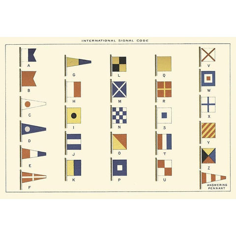 Nautilus VI Black Modern Wood Framed Art Print with Double Matting by Unknown