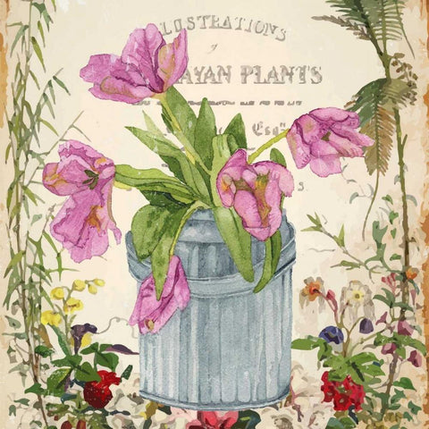 Vintage Tulip Can I White Modern Wood Framed Art Print by Mark, Leslie