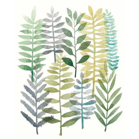 Watercolor Botany I White Modern Wood Framed Art Print by Meagher, Megan