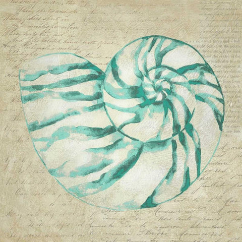 Seafoam Shell I Black Modern Wood Framed Art Print with Double Matting by Zarris, Chariklia