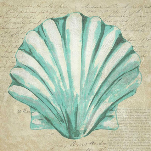 Seafoam Shell II White Modern Wood Framed Art Print with Double Matting by Zarris, Chariklia