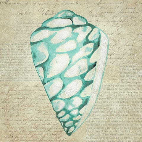 Seafoam Shell IV White Modern Wood Framed Art Print by Zarris, Chariklia