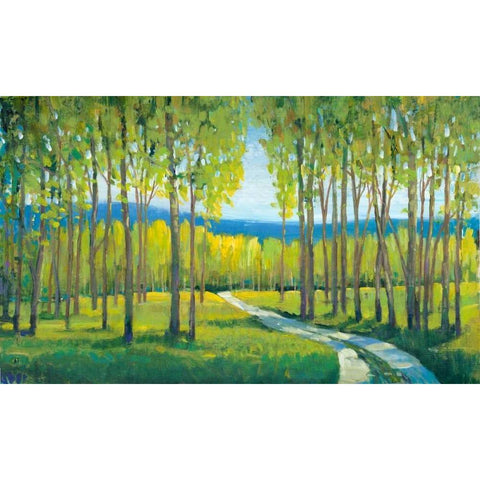 Morning Stroll I White Modern Wood Framed Art Print by OToole, Tim