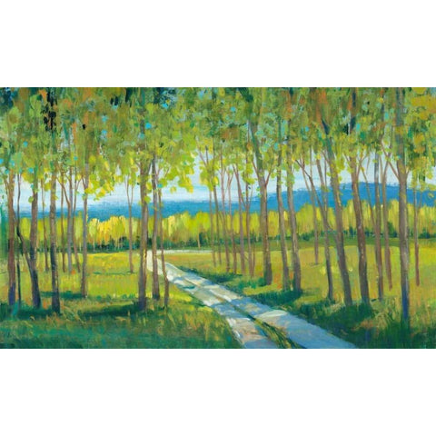 Morning Stroll II White Modern Wood Framed Art Print by OToole, Tim