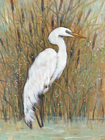 White Egret II Black Ornate Wood Framed Art Print with Double Matting by OToole, Tim