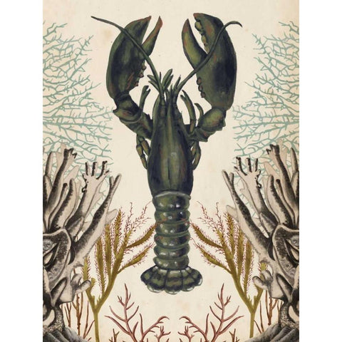 Antiquarian Menagerie - Lobster Black Modern Wood Framed Art Print with Double Matting by McCavitt, Naomi