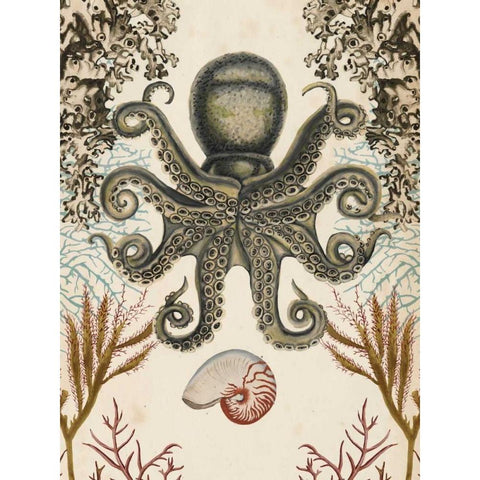 Antiquarian Menagerie - Octopus Black Modern Wood Framed Art Print with Double Matting by McCavitt, Naomi