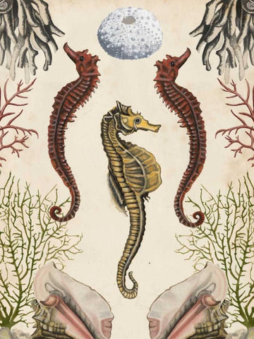 Antiquarian Menagerie - Seahorse White Modern Wood Framed Art Print with Double Matting by McCavitt, Naomi