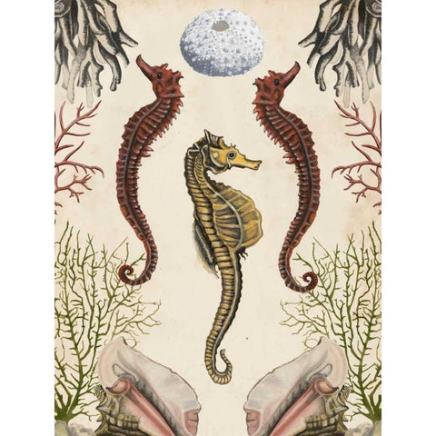 Antiquarian Menagerie - Seahorse Gold Ornate Wood Framed Art Print with Double Matting by McCavitt, Naomi