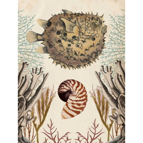 Antiquarian Menagerie - Puffer Fish Black Modern Wood Framed Art Print with Double Matting by McCavitt, Naomi