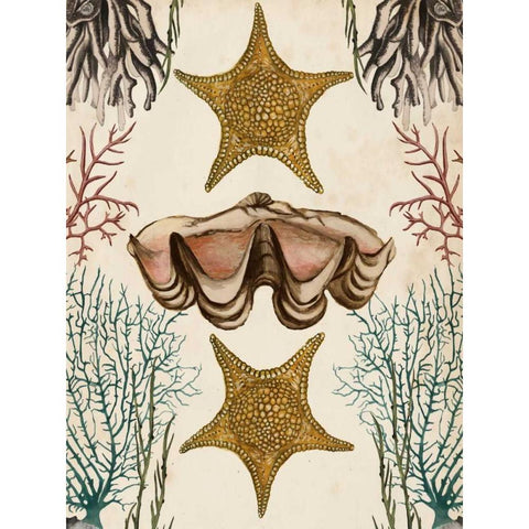 Antiquarian Menagerie - Starfish Black Modern Wood Framed Art Print with Double Matting by McCavitt, Naomi