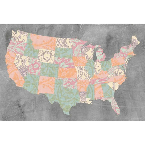 Patterned States I White Modern Wood Framed Art Print by Goldberger, Jennifer