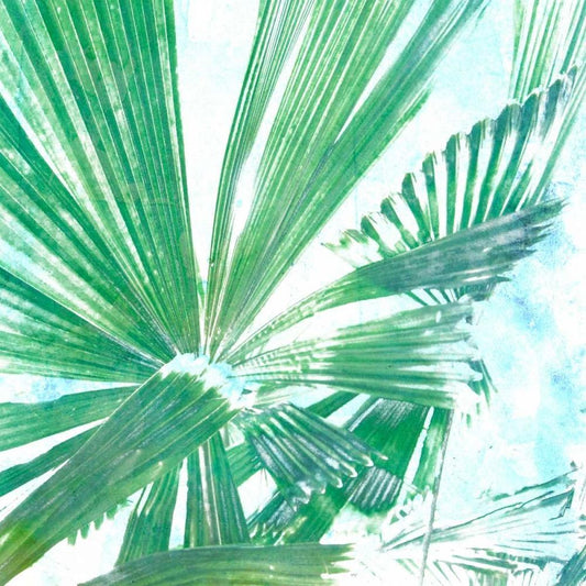 Image Only