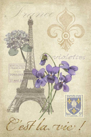 Paris Tour I White Modern Wood Framed Art Print with Double Matting by Reynolds, Jade