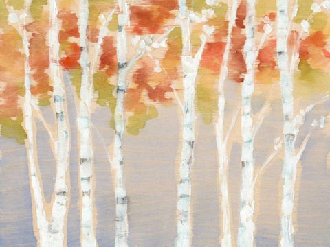 Swaying Birches I Black Ornate Wood Framed Art Print with Double Matting by Goldberger, Jennifer