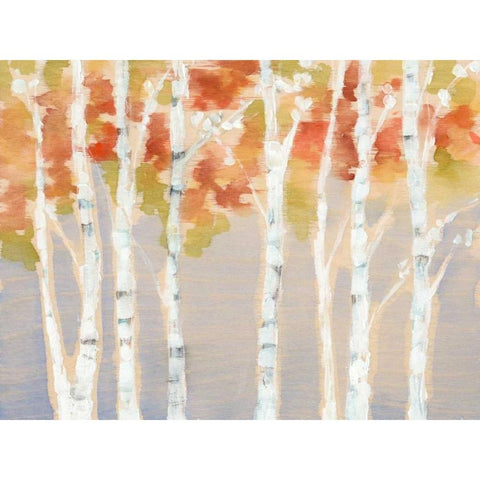 Swaying Birches I White Modern Wood Framed Art Print by Goldberger, Jennifer