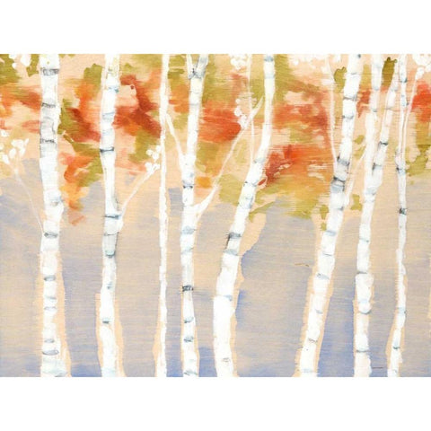 Swaying Birches II White Modern Wood Framed Art Print by Goldberger, Jennifer