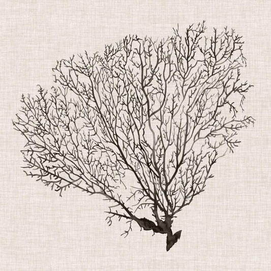 Image Only