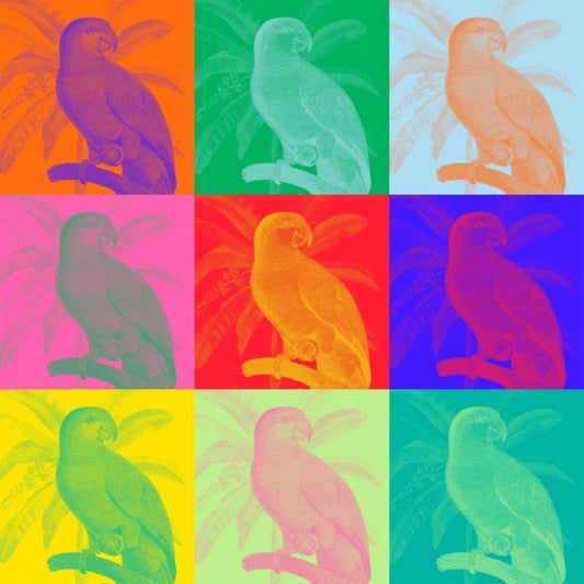 Image Only
