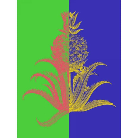 Pineapple Mix I Black Modern Wood Framed Art Print by Fagalde, Jarman