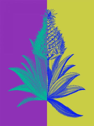 Pineapple Mix II White Modern Wood Framed Art Print with Double Matting by Fagalde, Jarman