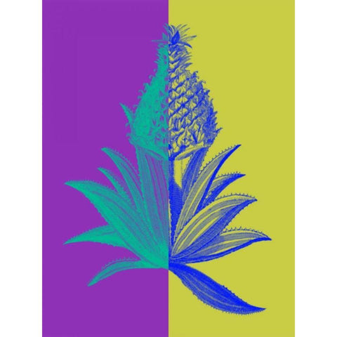 Pineapple Mix II Gold Ornate Wood Framed Art Print with Double Matting by Fagalde, Jarman