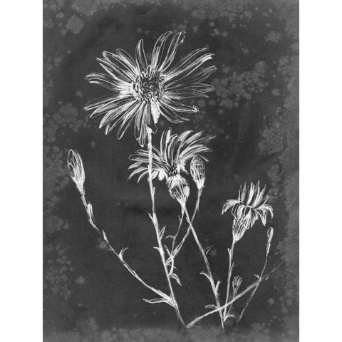 Slate Floral III Black Modern Wood Framed Art Print by Harper, Ethan