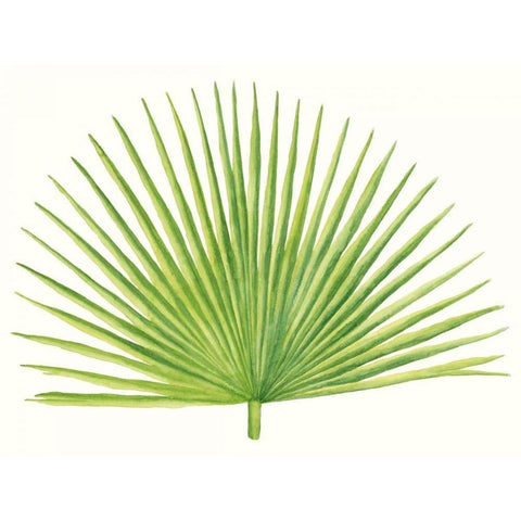 Tropical Breeze Leaves III Black Modern Wood Framed Art Print by McCavitt, Naomi