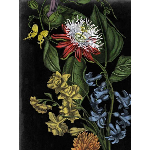 Dark Floral III Black Modern Wood Framed Art Print with Double Matting by McCavitt, Naomi