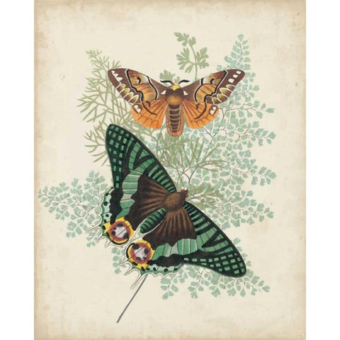 Butterflies and Ferns I White Modern Wood Framed Art Print by Vision Studio