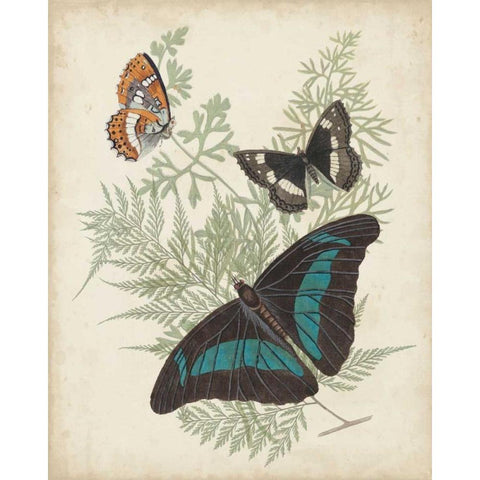 Butterflies and Ferns II White Modern Wood Framed Art Print by Vision Studio