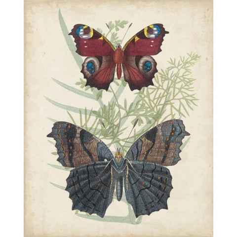 Butterflies and Ferns III Gold Ornate Wood Framed Art Print with Double Matting by Vision Studio