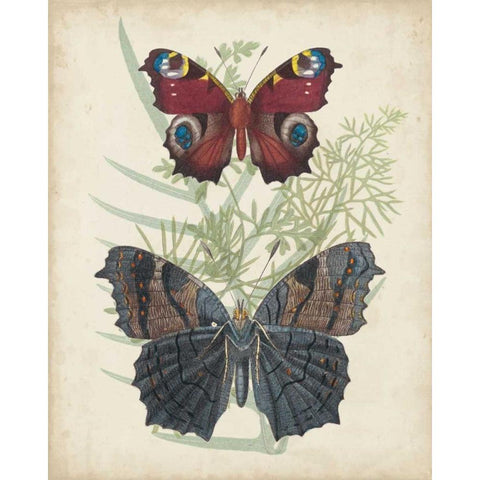 Butterflies and Ferns III Black Modern Wood Framed Art Print with Double Matting by Vision Studio