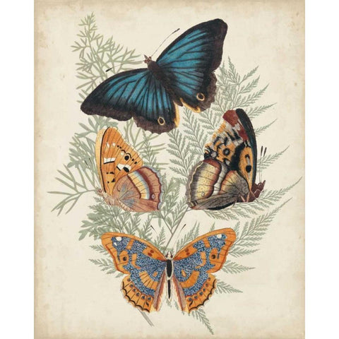 Butterflies and Ferns V Gold Ornate Wood Framed Art Print with Double Matting by Vision Studio