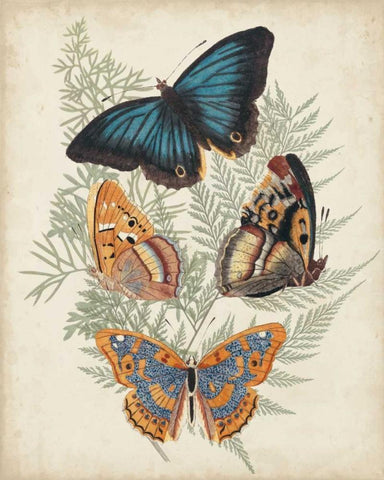 Butterflies and Ferns V Black Ornate Wood Framed Art Print with Double Matting by Vision Studio