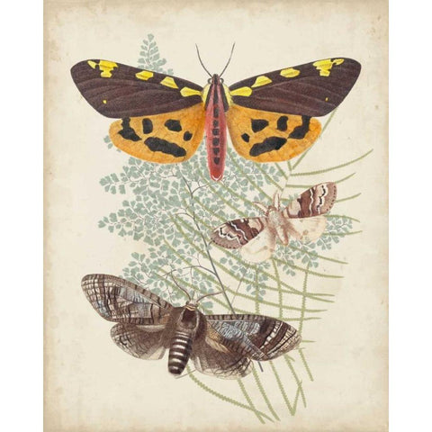 Butterflies and Ferns VI Gold Ornate Wood Framed Art Print with Double Matting by Vision Studio